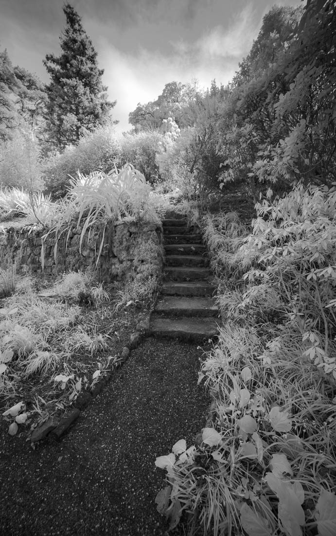 RGlenveagh in infrared 01