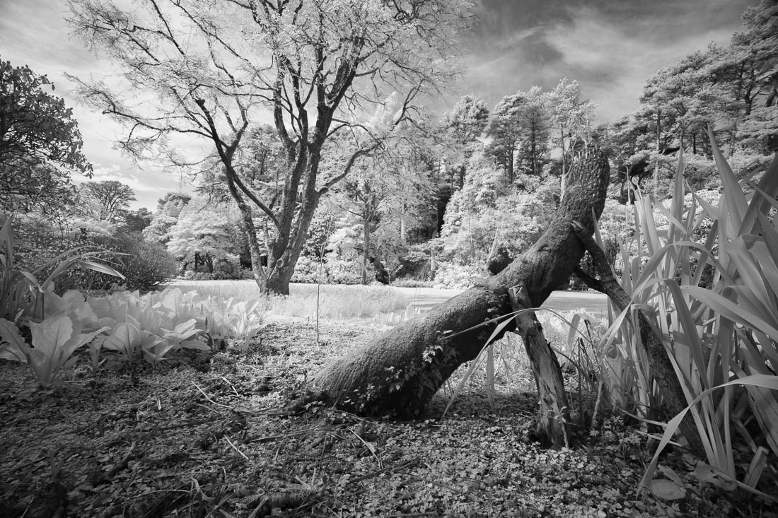 Glenveagh in infrared 03