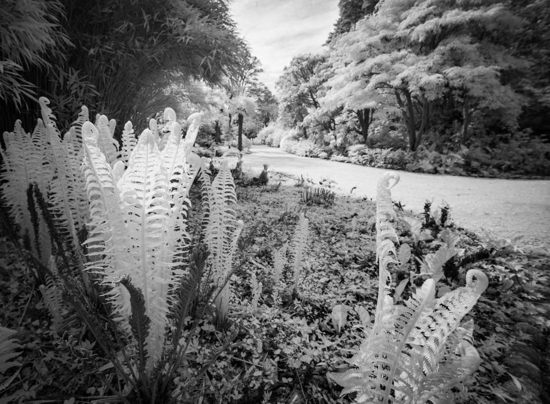 Glenveagh in infrared 04