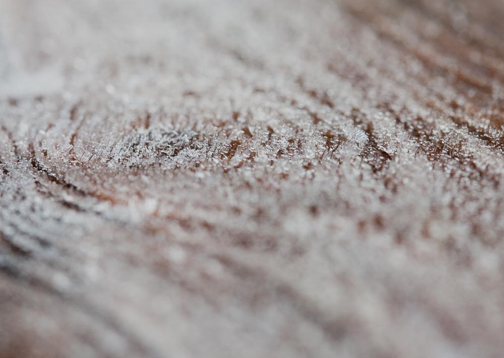 macro 06
