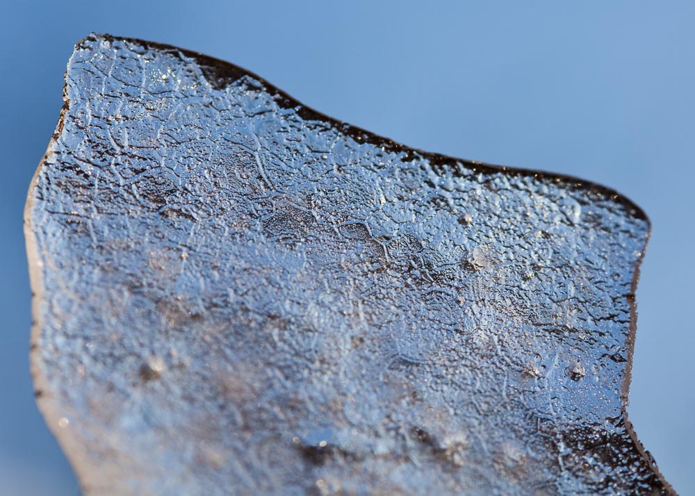 macro 08
